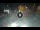 Webcam in Sarnico (Iseosee), 11 km entfernt