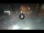 Webcam in Sarnico (Lake Iseo), 2.7 mi away