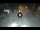 Webcam in Sarnico (Iseosee), 25.2 km entfernt