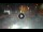 Webcam in Sarnico (Iseosee), 32.2 km