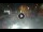 Webcam in Sarnico (Lago d'Iseo), 59.5 km