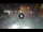 Webcam in Sarnico (Iseosee), 19.1 km entfernt