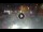 Webcam in Sarnico (Iseosee), 7 km entfernt