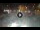 Webcam in Sarnico (Lago d'Iseo), 7.2 km