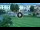 Webcam in Sarnico (Lake Iseo), 0.2 mi away