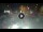 Webcam in Sarnico (Lake Iseo), 8.5 mi away