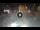 Webcam in Sarnico (Lake Iseo), 2.7 mi away