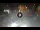 Webcam in Sarnico (Iseosee), 15.3 km entfernt
