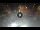 Webcam in Sarnico (Iseosee), 25.2 km entfernt