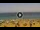 Webcam in Costa Adeje (Tenerife), 1.5 km