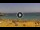 Webcam in Costa Adeje (Teneriffa), 2.7 km