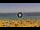 Webcam in Costa Adeje (Teneriffa), 5.1 km entfernt