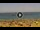 Webcam in Costa Adeje (Tenerife), 1.4 km