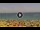 Webcam in Costa Adeje (Tenerife), 1.1 mi away