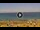 Webcam in Costa Adeje (Teneriffa), 4.3 km entfernt