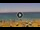 Webcam in Costa Adeje (Tenerife), 1.6 km