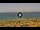 Webcam in Costa Adeje (Tenerife), 0.6 mi away