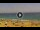 Webcam in Costa Adeje (Tenerife), 2.7 km