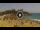 Webcam in Costa Adeje (Tenerife), 5.9 mi away