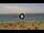 Webcam in Costa Adeje (Tenerife), 7.5 mi away