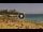 Webcam in Costa Adeje (Tenerife), 0.3 mi away