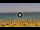 Webcam in Costa Adeje (Tenerife), 4.3 km