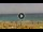 Webcam in Costa Adeje (Tenerife), 0.7 mi away