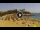 Webcam in Costa Adeje (Teneriffa), 2.3 km entfernt