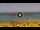 Webcam in Costa Adeje (Teneriffa), 2.7 km entfernt