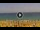 Webcam in Costa Adeje (Teneriffa), 26.5 km
