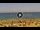 Webcam in Costa Adeje (Tenerife), 3 km