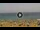 Webcam in Costa Adeje (Teneriffa), 12.2 km entfernt