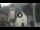 Webcam in Canazei, 0.1 mi away