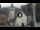 Webcam in Canazei, 3.4 km