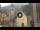 Webcam in Canazei, 0.2 km entfernt