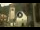 Webcam in Canazei, 0.1 mi away