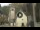 Webcam in Canazei, 0.6 mi away