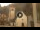 Webcam in Canazei, 0.3 km entfernt