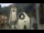 Webcam in Canazei, 0.2 km