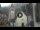Webcam in Canazei, 2.5 km