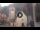 Webcam in Canazei, 0.2 km