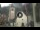 Webcam in Canazei, 2.5 km entfernt