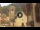 Webcam in Canazei, 0.2 km entfernt