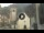 Webcam in Canazei, 6.3 km