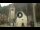 Webcam in Canazei, 0.1 mi away