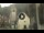 Webcam in Canazei, 0.1 mi away