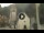 Webcam in Canazei, 1.5 km