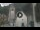 Webcam in Canazei, 0.1 mi away