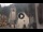 Webcam in Canazei, 0.1 mi away