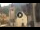 Webcam in Canazei, 0.1 mi away